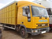 Iveco EuroCargo.