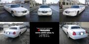 Транспортная компания AVANGARD 