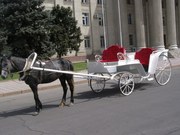 Продаю КАРЕТУ