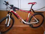 Велосипед горный BIWEC