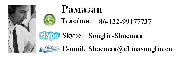 Dong Feng,  Cummins, Shacman