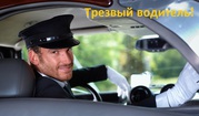 Трезвый водитель