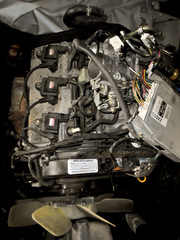 Toyota Land Cruiser Prado   - Кузов - Ходовая - Двигателя